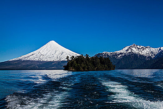 船,湖,火山,蔷薇目,巴塔哥尼亚,智利