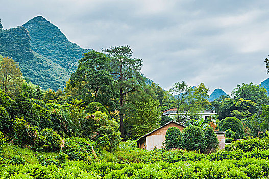 山村风景