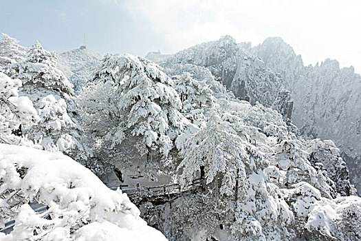 雪景,黄山