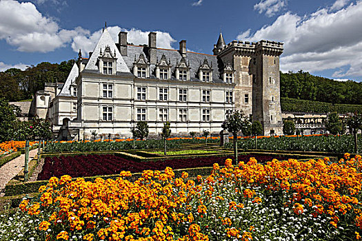 法国,中心,都兰地区,城堡,维朗德里城堡,菜园,方形,花园,建筑,蓝天