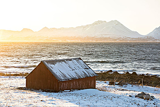 冬天,太阳,特色,房子,阿尔卑斯山,特罗姆瑟,挪威,欧洲