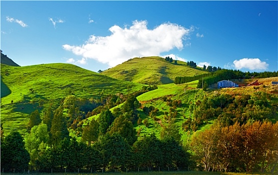 漂亮,风景,新西兰