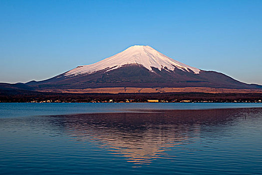 山,富士山,早晨