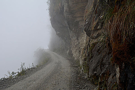 死亡,道路,雾,北方,玻利维亚,南美