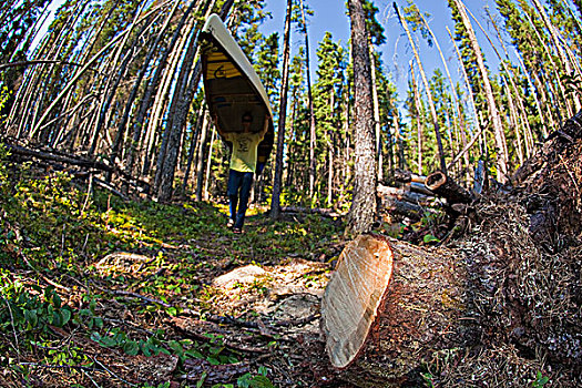 一个,男人,独木舟,省立公园,安大略省,加拿大