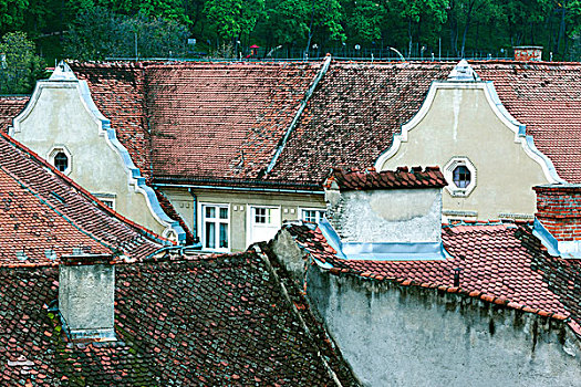 罗马尼亚,特兰西瓦尼亚,布拉索夫,俯视图,城镇,屋顶