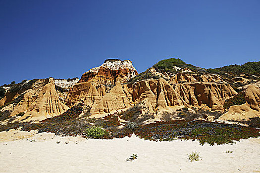 砂岩,石头,侵蚀,风,雨,海滩,大西洋海岸,靠近,葡萄牙,欧洲