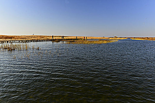 居延海