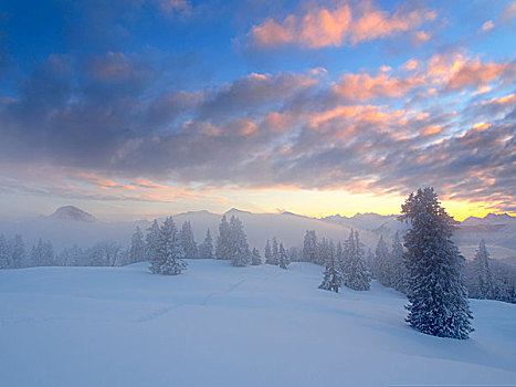 风景,冬天,亮光,轨迹,雪地鞋,雪地