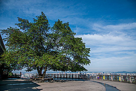 2021年重庆市南岸区南山一棵树风景区观景台