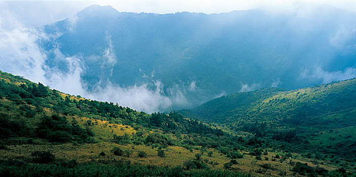 湖北神农架风景