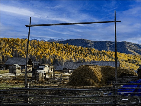 风景,中国,喀纳斯禾木