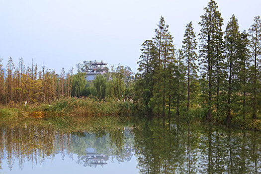 扬州,湿地,公园