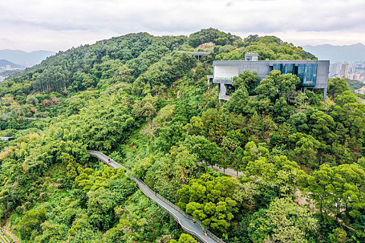 航拍福州福道,福州城市森林步道,金牛山公园西侧段