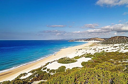 金色,海滩,最好,塞浦路斯,半岛,塞浦路斯北部