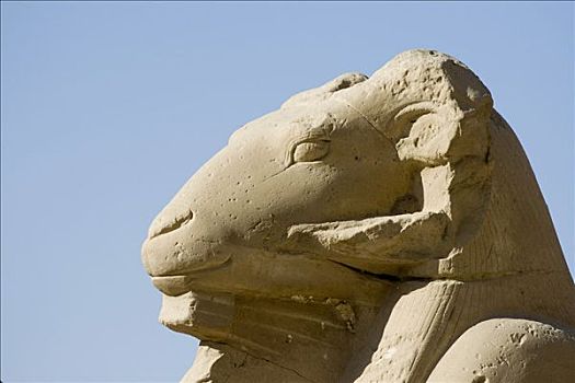 狮身人面像,卡尔纳克神庙,路克索神庙,尼罗河流域,埃及,非洲