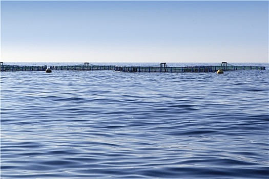 养鱼场,蓝色背景,海洋,海平线