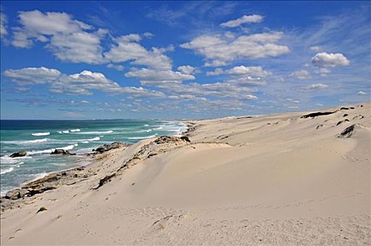 沙丘,圈,自然保护区,南非,非洲