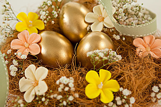 金色,复活节彩蛋,花,鸟窝,白色背景