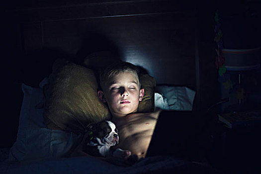 男孩,卧,床上,波士顿犬,小狗,闭眼,睡觉,光亮,电脑屏幕