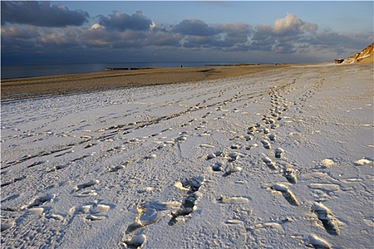 雪,海岸