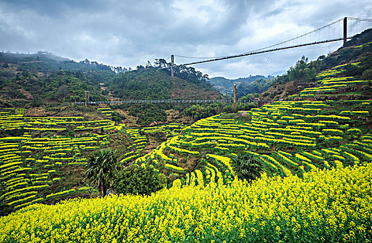 画里乡村篁岭