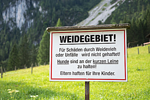 柳树,区域,警告标识,草场,格蒙登,上奥地利州,奥地利,欧洲