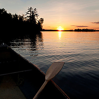 桨,独木舟,湖,木头,安大略省,加拿大