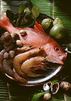 生食,红鲷鱼,虾,静物