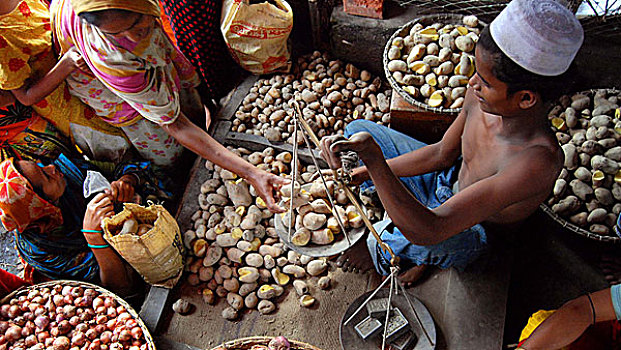 男孩,销售,土豆,集市,孟加拉,八月,2008年