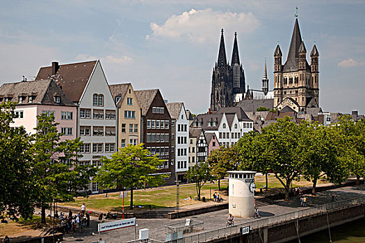 老城,科隆,大教堂,教堂,北莱茵威斯特伐利亚,德国,欧洲