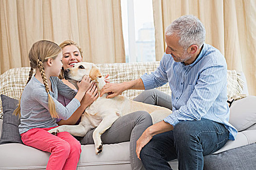父母,女儿,爱抚,拉布拉多犬