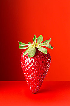 草莓,红色,台案