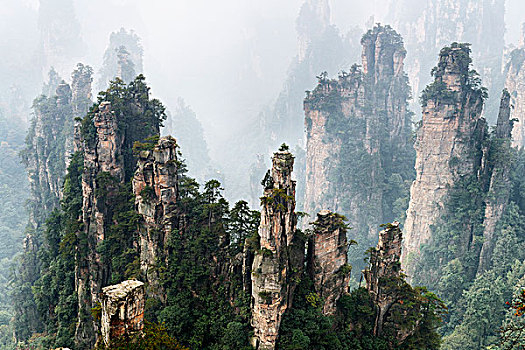 雾状,山景,风景,张家界,国家森林,公园,湖南,中国,亚洲