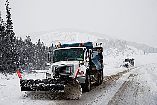 两个,卡车,除雪,雪,道路,乡村道路,艾伯塔省,加拿大