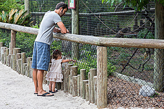女儿,看,猴子,动物园