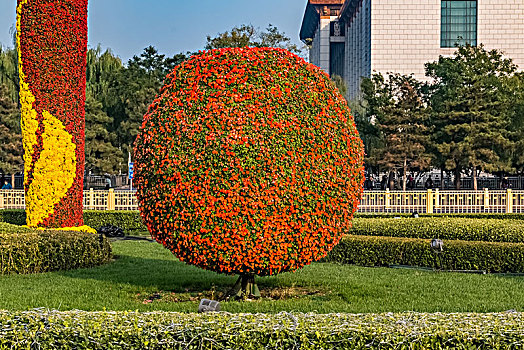 北京市天安门广场花坛植物景观