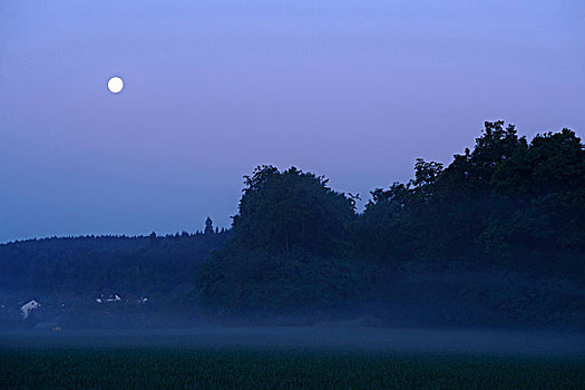 风景,雾状,早晨,普拉蒂纳特,巴伐利亚,德国