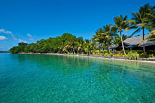 海滩,小岛,岛屿,瓦努阿图,南太平洋