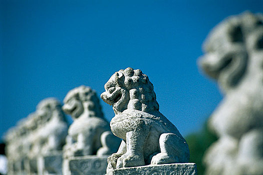 北京颐和园石狮子