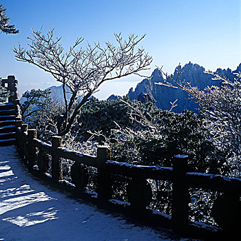 黄山清凉台雪景