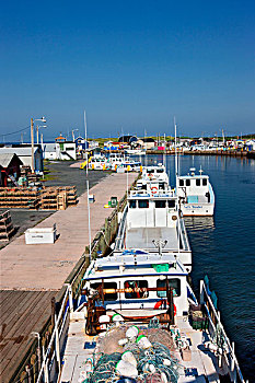 渔船,捆绑,码头,北湖,港口,爱德华王子岛,加拿大