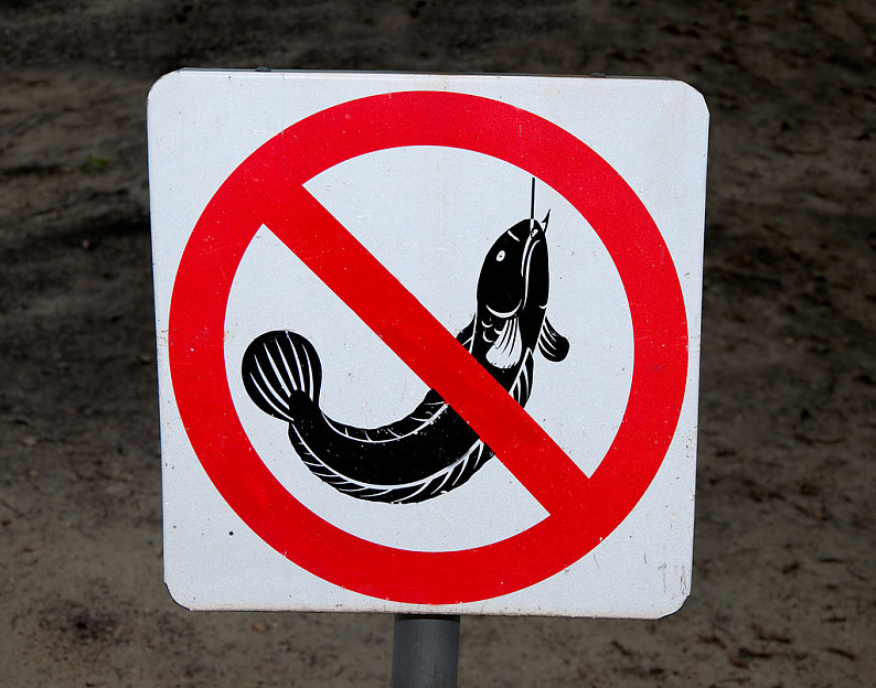 禁止钓鱼英语图片