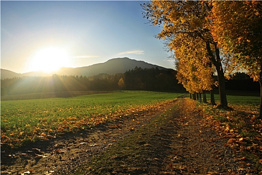 巴伐利亚,秋日风光,离开