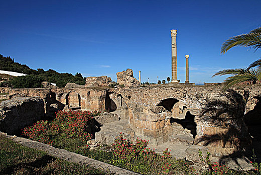 突尼斯,迦太基遗址,岩石,古老,风化,罗马柱