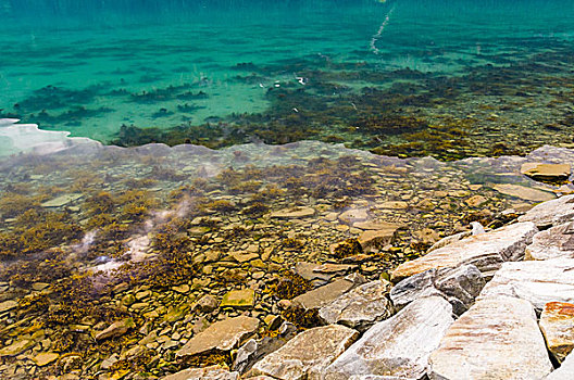石头,岸边,透明,水,挪威,峡湾