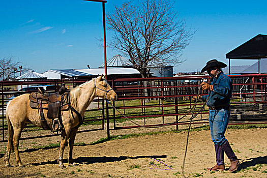 达拉斯,德克萨斯,牧场,牛仔,训练,2岁,马,放,第一,马鞍,骑