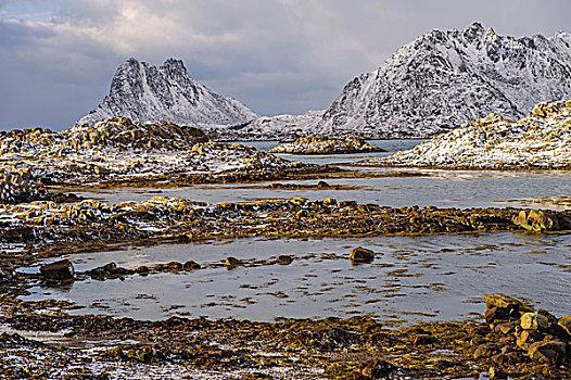 海岸线,石头,罗弗敦群岛,挪威,欧洲