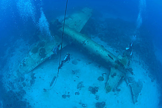 潜水者,残骸,飞机,岛屿,密克罗尼西亚,太平洋