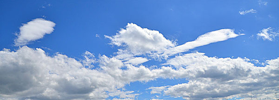 鸟型云景观图,白鹤